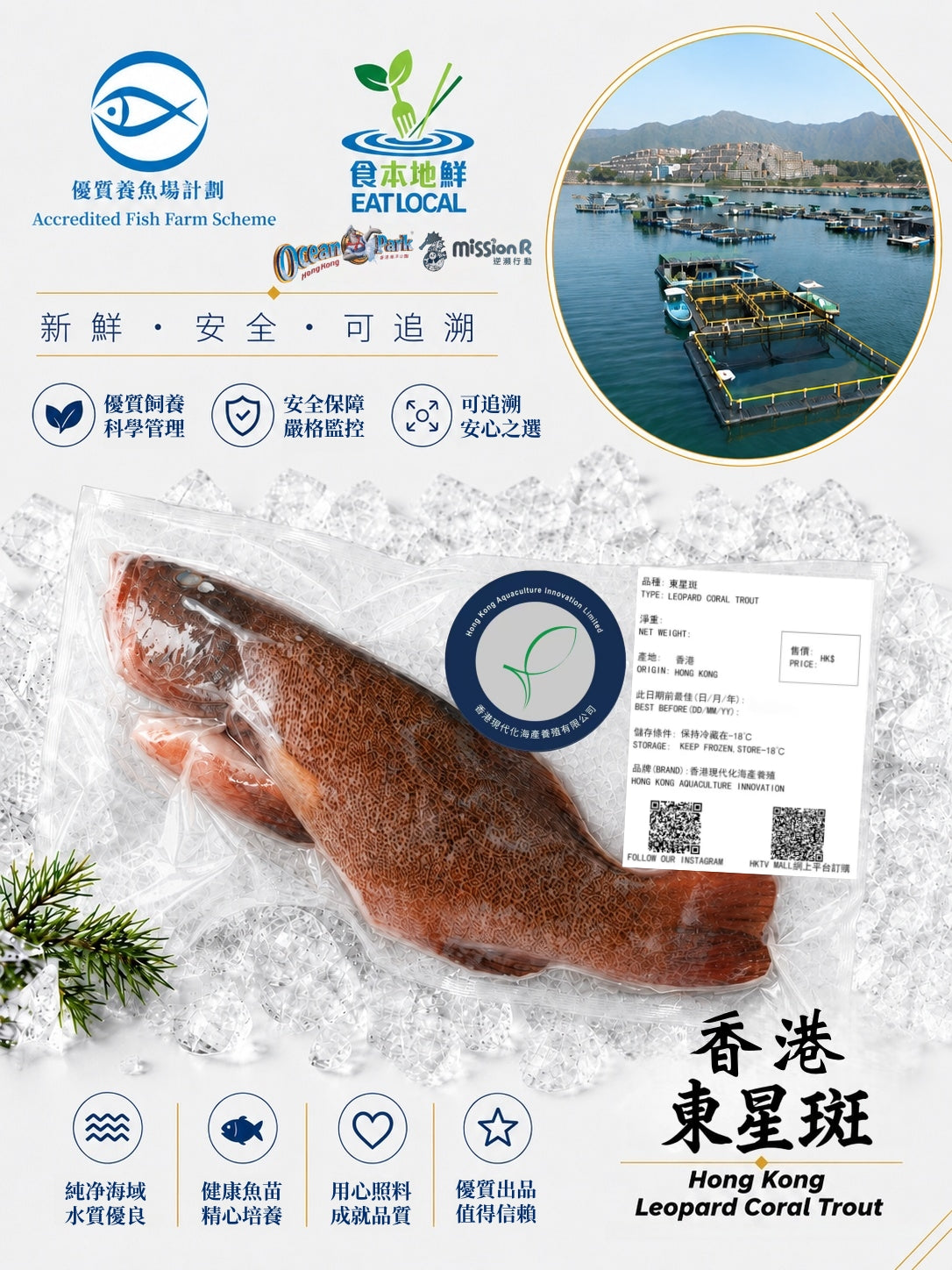 東星斑魚