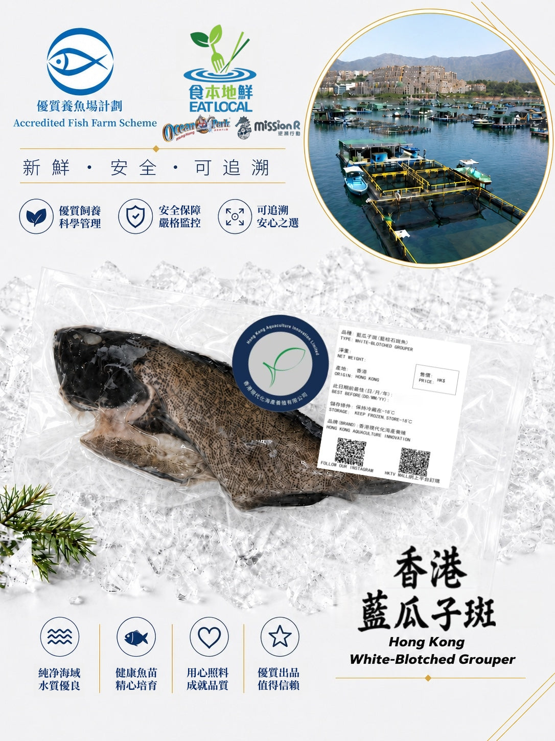 藍瓜子斑魚